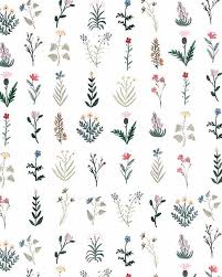 119 Mentions J Aime 4 Commentaires Aurelie Soligny Plumetismagazine Sur Instagram Subtilites Florales Boccaccinimeadows Need A Little Spring Today Hatirlatici Dovmeler Cicekli Dovmeler Cizilecek Seyler