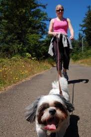 When your dog starts having a number of accidents inside your indoor environment it can start to play a drastic role in the overall smell within this area and can potentially ruin surfaces and furniture as well. Advice For Senior Dogs Having House Accidents Lovetoknow
