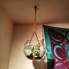 Diy Hanging Fish Bowl Ingredients Twine Glass Bowl Beta Fish Pebbles And A Gnome Frog Figurine R Diy Diy Hanging Fish Bowl Twine
