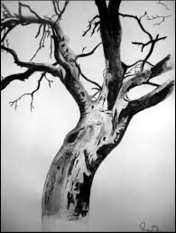 Original Tree Drawings For Sale Landscape Silhouette Tree Watercolor Painting Tree Drawing