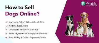 How To Sell Dogs Online | Step By Step (Free Method)
