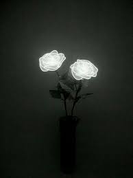 Super Flowers Aesthetic Wallpaper White 23 Ideas Search free black wallpaper wallpapers on zedge and personalize your phone to suit you. flowers blog