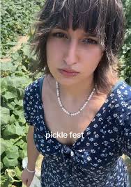 Pickle Fest Orlando Fl 2025