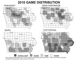 iowa pheasant hunting forecast 2018