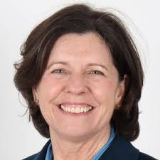 UK Parliamentary general election: The 7 candidates in New Forest West