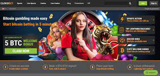 A bitcoin casino is a gambling club that uses the btc as the exclusive or an extra payment method. 4 Best Bitcoin Gambling Sites 2021 Tested Cryptocurrency Casinos