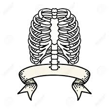 There is a world of ideas that you can check out for your rib cage tattoo; Traditional Tattoo With Banner Of A Rib Cage Royalty Free Cliparts Vectors And Stock Illustration Image 146034305