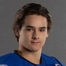 Fond du Lac Springs Ledgers