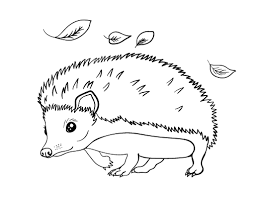 Feel free to print and color from the best 37+ hedgehog coloring pages printable at getcolorings.com. Free Hedgehog Coloring Page Hedgehog Colors Love Coloring Pages Summer Coloring Pages