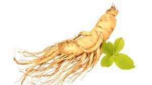 Cara racik obat kuat dari gingseng : Demi Kuat Di Ranjang Mau Coba 7 Obat Kuat Alami Ini Gaya Tempo Co