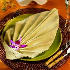 Folding napkins in different ways can add a bit of fun for your everyday casual dining or bring elegance to a formal dinner party. 200 Napkin Folding Ideas Napkin Folding Creative Napkins Napkins