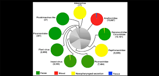 The Composition And Sample Distribution Of Eukaryotic