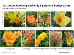 met 5 oranje en gele vaste planten een langbloeiende border voor een zonnige plaats in de tuin maken dat kan herhaa tuin borders met vaste planten tuin maken