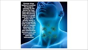 Facebook post falsely claiming that drinking or gargling warm salt ...