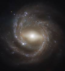 Results are presented of spectroscopic emission and absorption lineobservations along the major axis of the sb galaxy ngc 7331. Barred Spiral Galaxy Archives Universe Today
