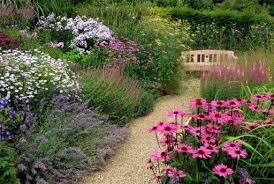 Cottage Garden Prairie Style Planting Stunning Echinaceas Cottage Garden Design Beautiful Gardens Garden Inspiration