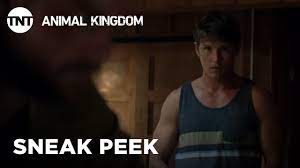 Animal Kingdom If You Stay Here You Will Be Killed Season 4 Episode 11 Sneak Peek Tnt Youtube