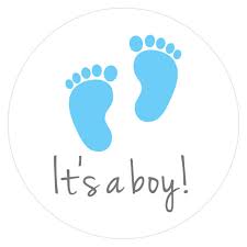 Its A Boy Stickers Its A Girl Stickers Gender Reveal Stickers Baby Shower Stickers Rw017 Boys Sticker Baby Shower Stickers Baby Boy Scrapbook