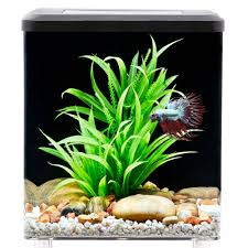 Top Fin Bettaflo Relax Betta Aquarium 2 Gallon Betta Aquarium Betta Betta Fish Tank