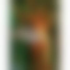 Amazon Jail (DVD) (Standard) - Walmart.com