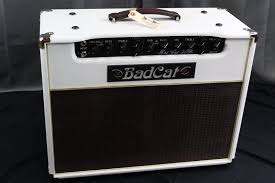 Последние твиты от bad cat amplifiers (@badcatamps). Bad Cat Hot Cat 30r White Gold Piping Custom Ordered Handwired