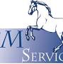 BM Services from bmservice.be