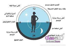 ضبط الساعة البيولوجية لجسم الانسان pie chart map chart