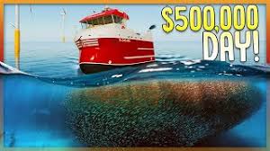 North atlantic is a simulation game, developed and published by misc games, scheduled to be released in 2020. 100 000 Kg Of Fish In One Line Major Profits Commercial Fishing Fishing North Atlantic Youtube