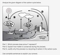 The effects of the slow carbon cycle, such as volcanic and tectonic activity are not included.]] en.wikipedia.org Analyze The Given Diagram Of The Carbon Cycle Below Chegg Com