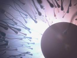 Quais as chances de engravidar fora do período fértil? - Fertilidade.org