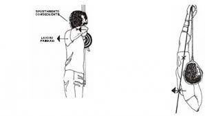 Solitamente chi inizia a tirare con l'arco si immagina un arco olimpico, perché è molto più facile vederlo alle olimpiadi appunto, o rappresentato in il consiglio è quello di iniziare con un arco scuola, un arco classico in legno pensato apposta per permettere al neofita di apprendere la tecnica di tiro. La Tecnica Di Tiro Arco Sport Spigarelli