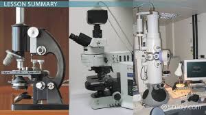 types of microscopes electron light fluorescence