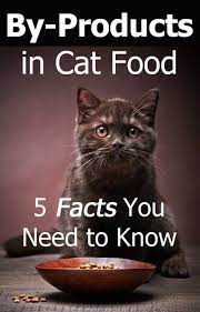 Smart Owners Read The Labels Before Feeding A New Kind Of Food To Their Cats It 39 S One Of The Cat Food Best Cat Food Cat Nutrition