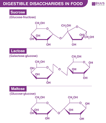 In the isomer isomaltose, the two glucose molecules are joined with an α(1→6) bond. Disaccharides Definition Function Structure Examples