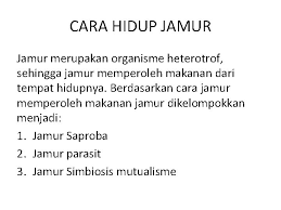 We did not find results for: Jamur Menjelaskan Ciriciri Umum Kingdom Fungi Menjelaskan Dasar
