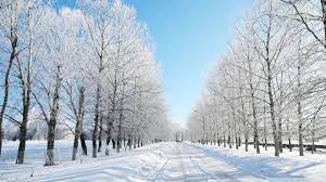 Road Covered With Snow Hd Desktop Wallpaper High Definition Fullscreen Mobile Dual Monitor Winter Pictures Winter Landscape Winter Scenery