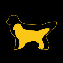 Our next litter of golden retrievers will be available for adoption starting june 2nd! Goldenquest Comfort Retrievers Home Facebook