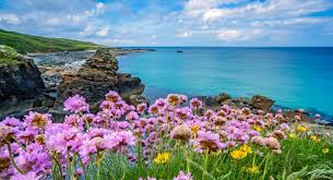 Cornwall has a strong protestant heritage, where methodism is the main denomination. This Is Why Cornwall Is Worth Traveling To Scandinavian Traveler