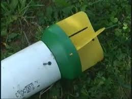 Japanese beetle traps are one of the commercially available, organic ways to help control their population in your yard or garden. The Best Japanese Beetle Trap High Collection Catch In Treetops Make Your Own Trap Youtube
