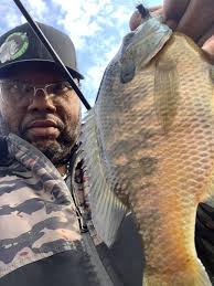 Any panfishermen in the group ? Crappies gills seeds perch?