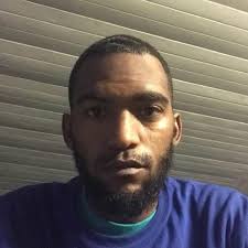 Toya Robinson and Tony McDonald's Wedding Website