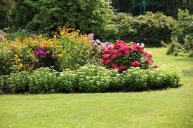 Thematic gardens to inspire you. Drought Tolerant Plants In Full Sun Gardens