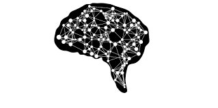 After all, the content has already been planned and written; The Science Of Memory Top 10 Proven Techniques To Remember More And Learn Faster