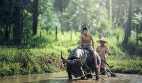 Sejatining manungso urip ing ngalam nduyo iki mung jejer titah sak wantah duwene mung lali karo salah,mulo ojo podho kakean polah,siro urip ono kang nguripno,siro gedhe ono kang nggedekno,siro. Nasehat Jawa Tentang Kehidupan Yang Syarat Akan Makna Yosefpedia Com