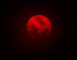 See more ideas about moon, aesthetic, hipster blog. Blood Moon Gacha Life Amino