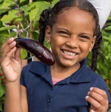 Happenings — Friends of the Boston Schoolyards