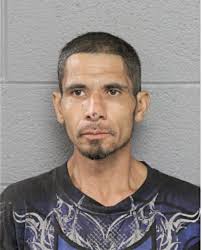 ᐅ Illinois Criminal Records 2009-2025