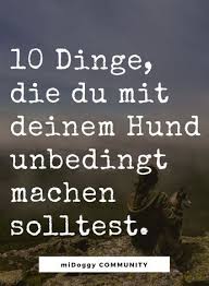 Hier Erfahrst Du Es Hund Tipps Ideen Hunde Hunde Erziehen Hundetricks
