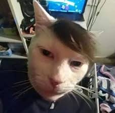 Adrian Escalera (adrianescaler)