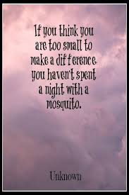 If You Think You Are Too Small To Make A Difference You Haven T Spent A Night With A Mosquito Unknown Quoteoftheday Mandela Quotes Quote Of The Day Quotes